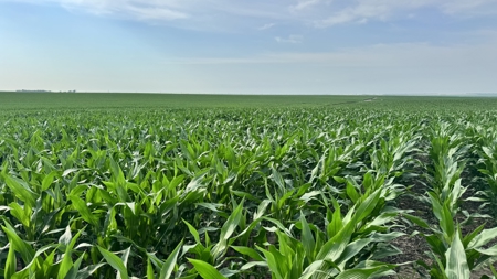 Mega Irrigated Farm in Central South Dakota - image 47