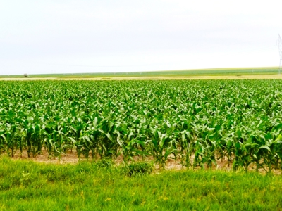 Mega Irrigated Farm in Central South Dakota - image 23