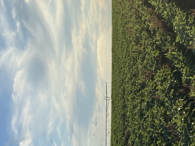 Mega Irrigated Farm in Central South Dakota - image 30