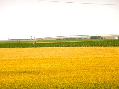 Mega Irrigated Farm in Central South Dakota - image 20
