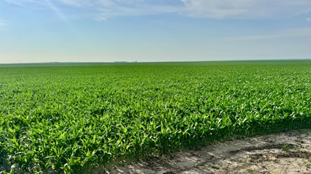 Mega Irrigated Farm in Central South Dakota - image 49