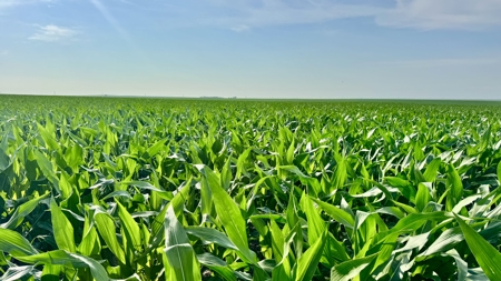 Mega Irrigated Farm in Central South Dakota - image 48