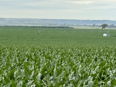 Mega Irrigated Farm in Central South Dakota - image 44