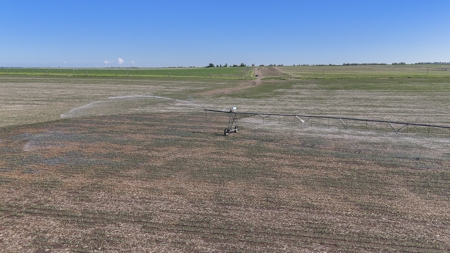 Mega Irrigated Farm in Central South Dakota - image 33