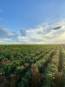Mega Irrigated Farm in Central South Dakota - image 29
