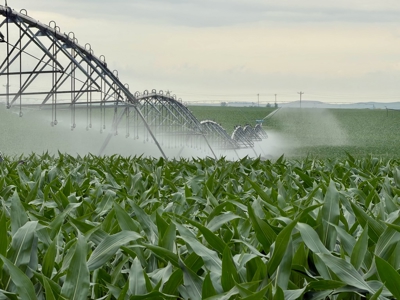 Mega Irrigated Farm in Central South Dakota - image 43