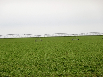 Mega Irrigated Farm in Central South Dakota - image 16