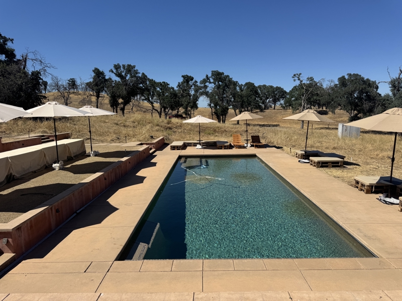 No Caption