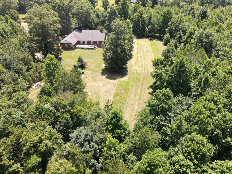 No Caption