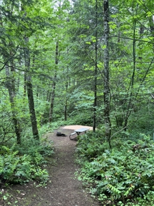 Top-Rated Gorge RV Park & Campground For Sale - image 40