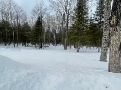Spacious home in the country just west of De Tour Village, - image 46