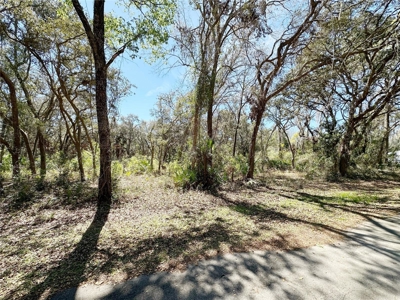 0.50 Acres in Golf Course Community - image 3