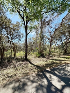 0.50 Acres in Golf Course Community - image 1