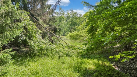 Large Land Tract for Sale in Floyd County, VA - image 18