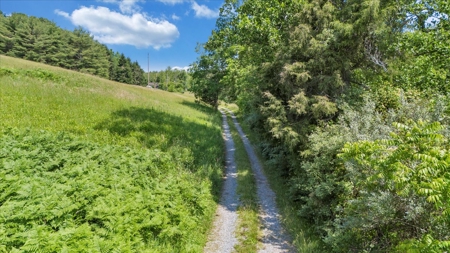 Large Land Tract for Sale in Floyd County, VA - image 37