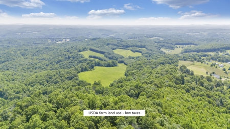 Large Land Tract for Sale in Floyd County, VA - image 1
