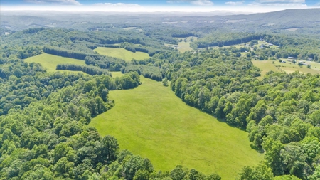Large Land Tract for Sale in Floyd County, VA - image 29