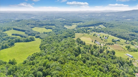 Large Land Tract for Sale in Floyd County, VA - image 34