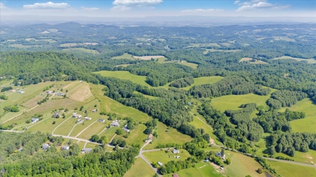 Large Land Tract for Sale in Floyd County, VA - image 6