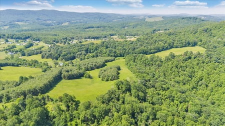 Large Land Tract for Sale in Floyd County, VA - image 32