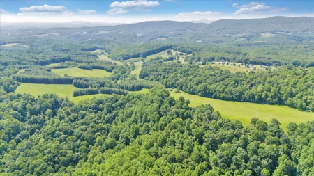 Large Land Tract for Sale in Floyd County, VA - image 31