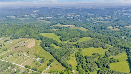 Large Land Tract for Sale in Floyd County, VA - image 14