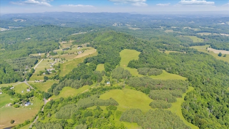 Large Land Tract for Sale in Floyd County, VA - image 7