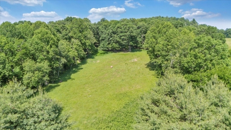 Large Land Tract for Sale in Floyd County, VA - image 23