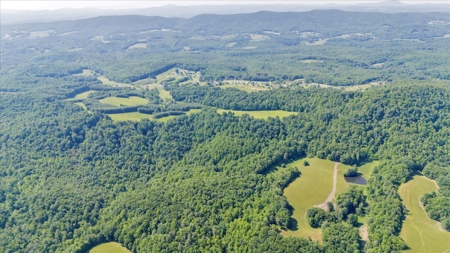 Large Land Tract for Sale in Floyd County, VA - image 10