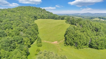 Large Land Tract for Sale in Floyd County, VA - image 28