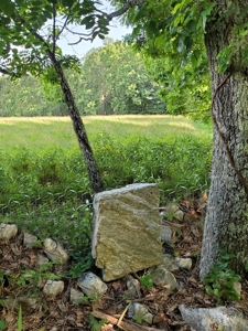 Large Land Tract for Sale in Floyd County, VA - image 41