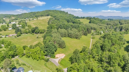 Large Land Tract for Sale in Floyd County, VA - image 3