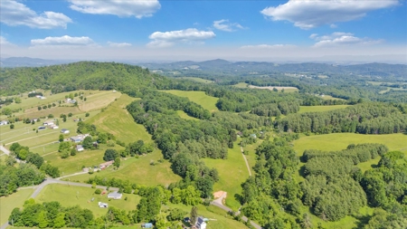 Large Land Tract for Sale in Floyd County, VA - image 4