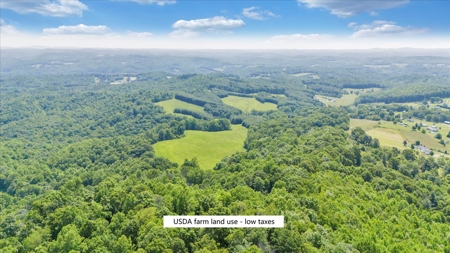 Large Land Tract for Sale in Floyd County, VA - image 36