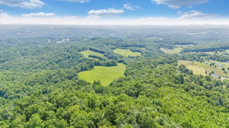 Large Land Tract for Sale in Floyd County, VA - image 35