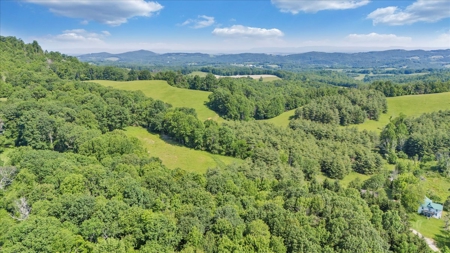 Large Land Tract for Sale in Floyd County, VA - image 15