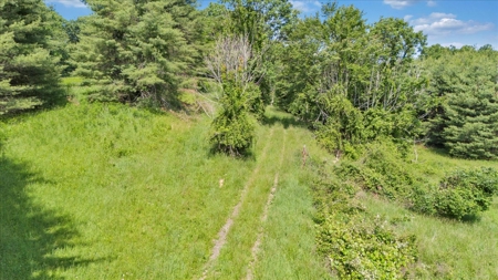 Large Land Tract for Sale in Floyd County, VA - image 20