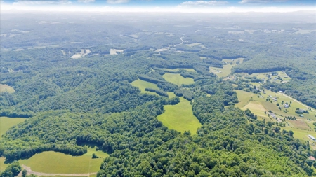 Large Land Tract for Sale in Floyd County, VA - image 11