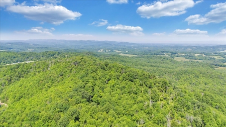 Large Land Tract for Sale in Floyd County, VA - image 33