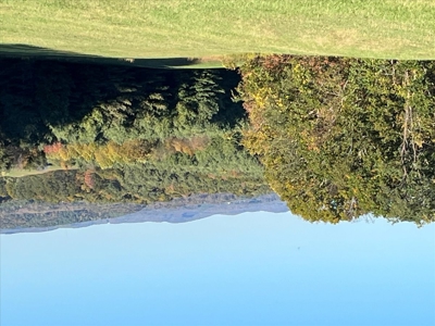 Large Land Tract for Sale in Floyd County, VA - image 43