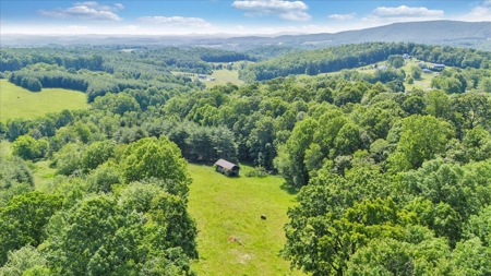 Large Land Tract for Sale in Floyd County, VA - image 26