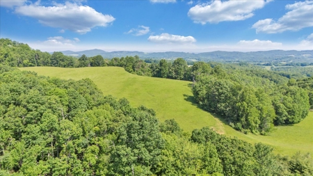 Large Land Tract for Sale in Floyd County, VA - image 24
