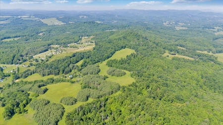 Large Land Tract for Sale in Floyd County, VA - image 8