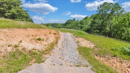 Large Land Tract for Sale in Floyd County, VA - image 38