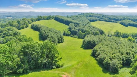 Large Land Tract for Sale in Floyd County, VA - image 27