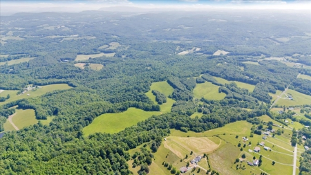 Large Land Tract for Sale in Floyd County, VA - image 12