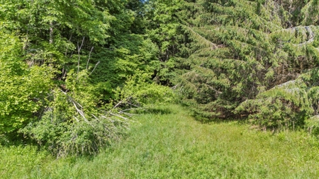 Large Land Tract for Sale in Floyd County, VA - image 16