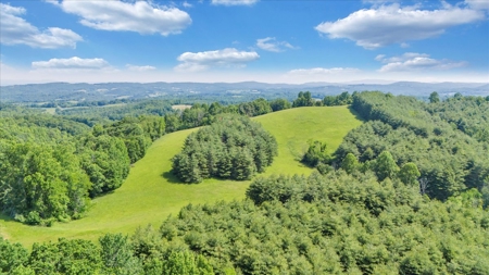 Large Land Tract for Sale in Floyd County, VA - image 25