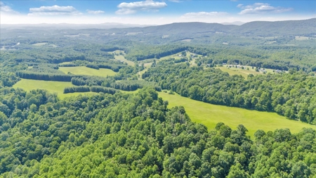 Large Land Tract for Sale in Floyd County, VA - image 30