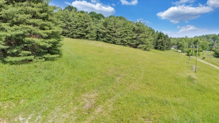 Large Land Tract for Sale in Floyd County, VA - image 2